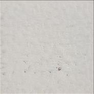 Local Girls For Fuck