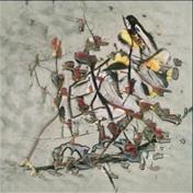 Local Girls For Fuck Rockingham