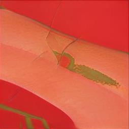 Locals That Wanna Fuck NC